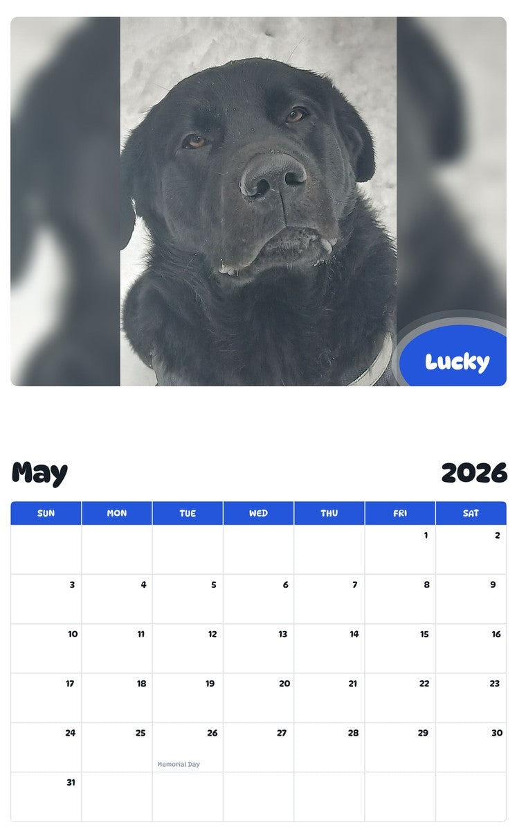 2026 - 2027 Lucky - Pawidols Pet Calendar