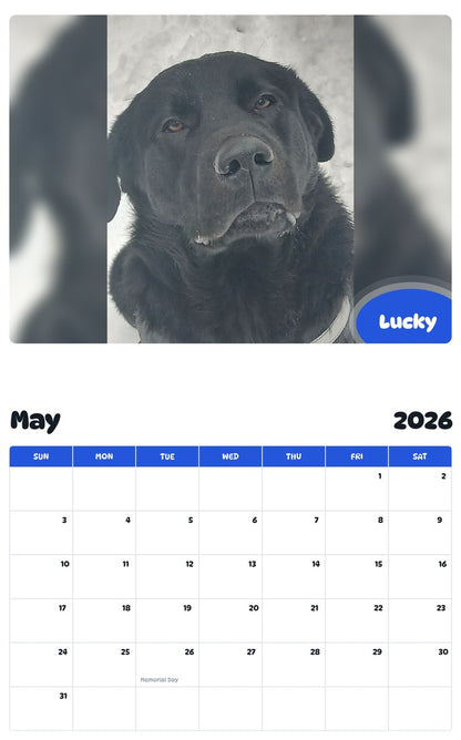 2026 - 2027 Lucky - Pawidols Pet Calendar