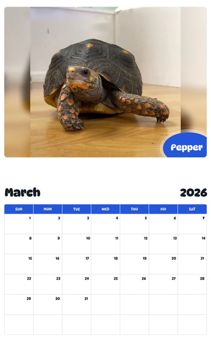 November 2025 - October 2026 Pepper - Pawidols Pet Calendar