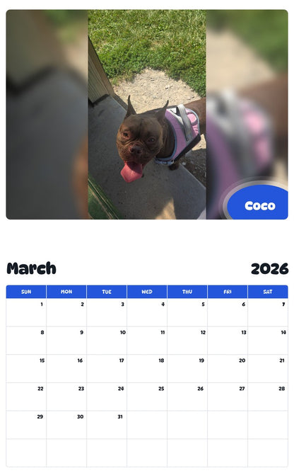 November 2025 - October 2026 Coco - Pawidols Pet Calendar