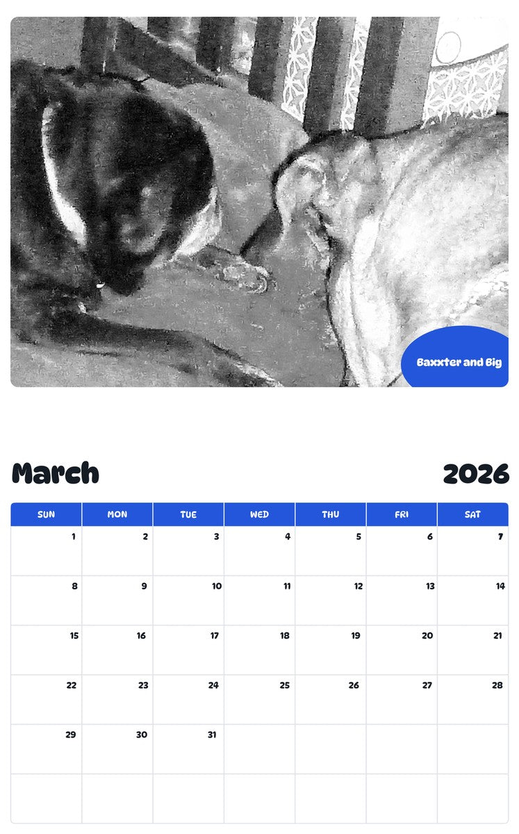 November 2025 - October 2026 Baxxter and Big - Pawidols Pet Calendar