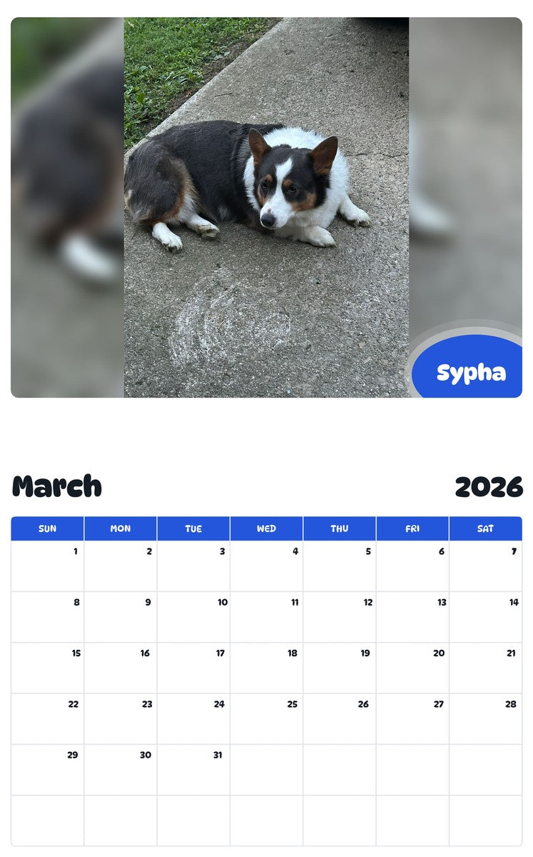 November 2025 - October 2026 Sypha - Pawidols Pet Calendar