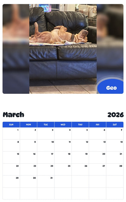 November 2025 - October 2026 Geo - Pawidols Pet Calendar