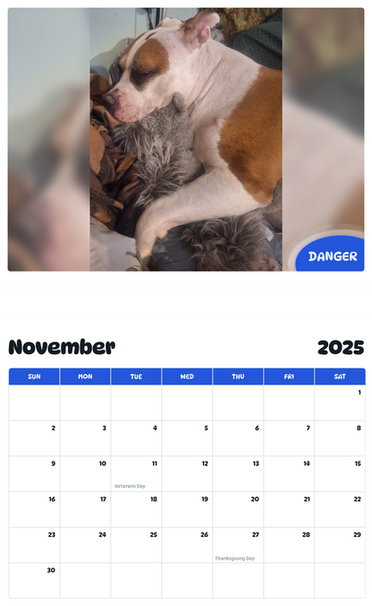 July 2025 - June 2026 Danger - Pawidols Pet Calendar