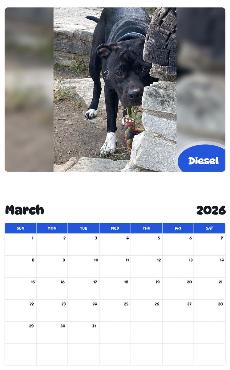 November 2025 - October 2026 Diesel - Pawidols Pet Calendar