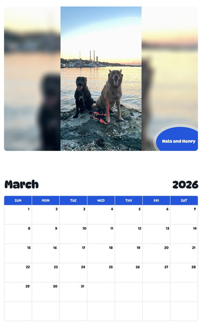 November 2025 - October 2026 Nala and Henry - Pawidols Pet Calendar