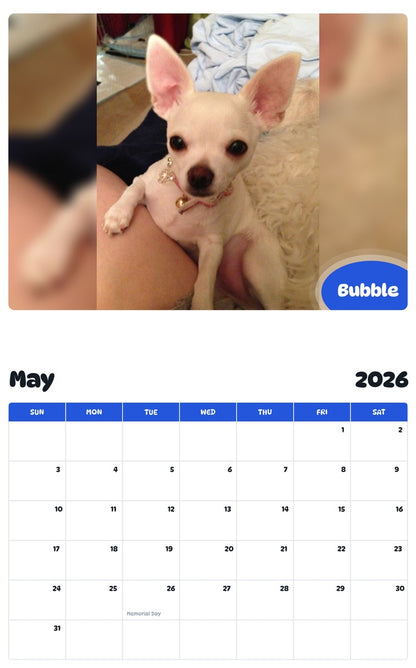 2026 - 2027 Bubble - Pawidols Pet Calendar