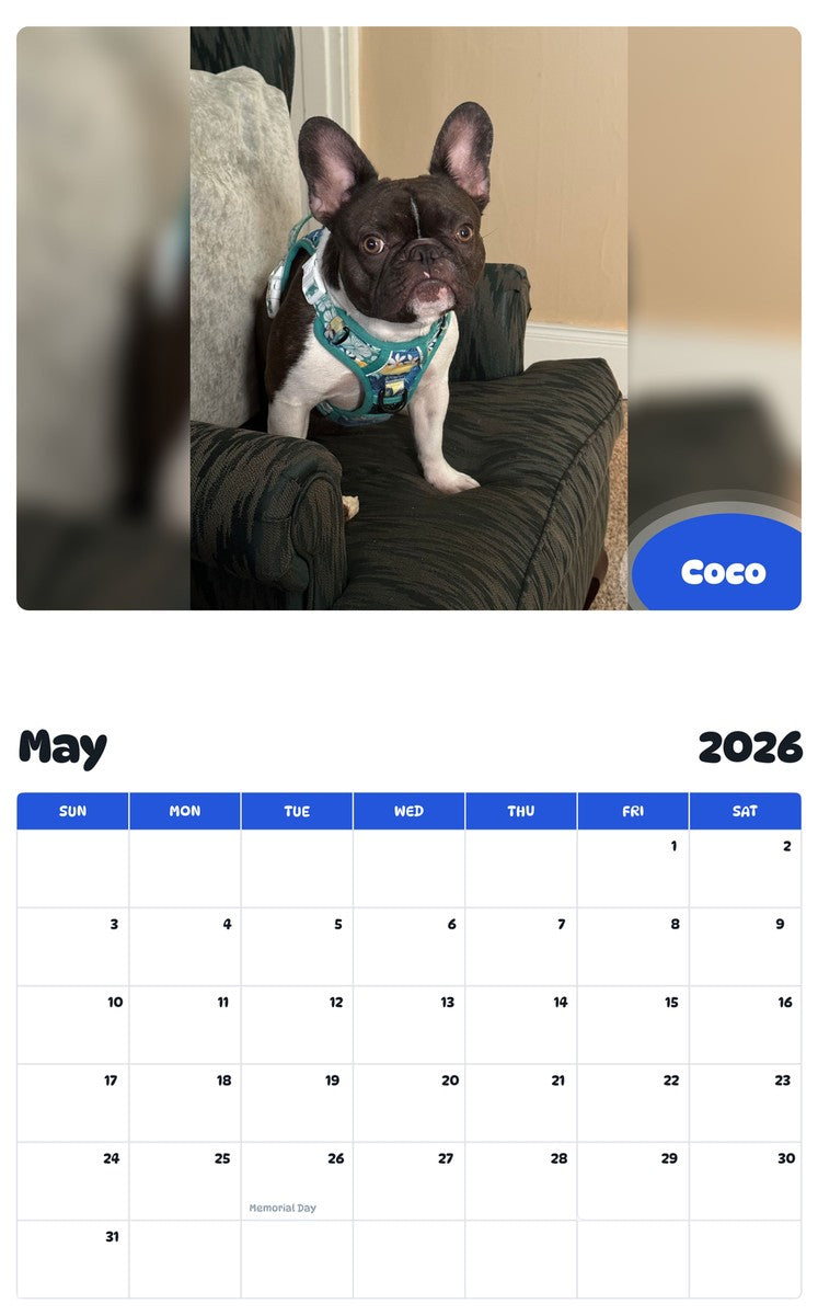 2026 - 2027 Coco - Pawidols Pet Calendar
