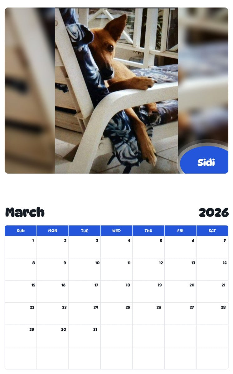 November 2025 - October 2026 Sidi - Pawidols Pet Calendar