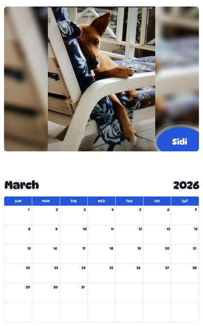 November 2025 - October 2026 Sidi - Pawidols Pet Calendar