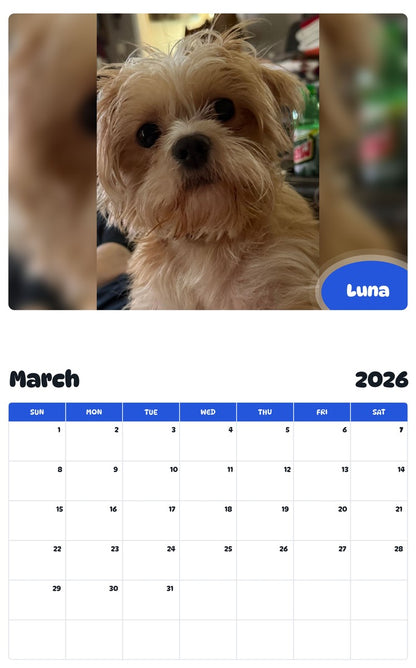 November 2025 - October 2026 Luna - Pawidols Pet Calendar