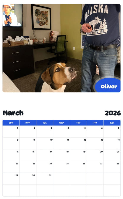November 2025 - October 2026 Oliver - Pawidols Pet Calendar