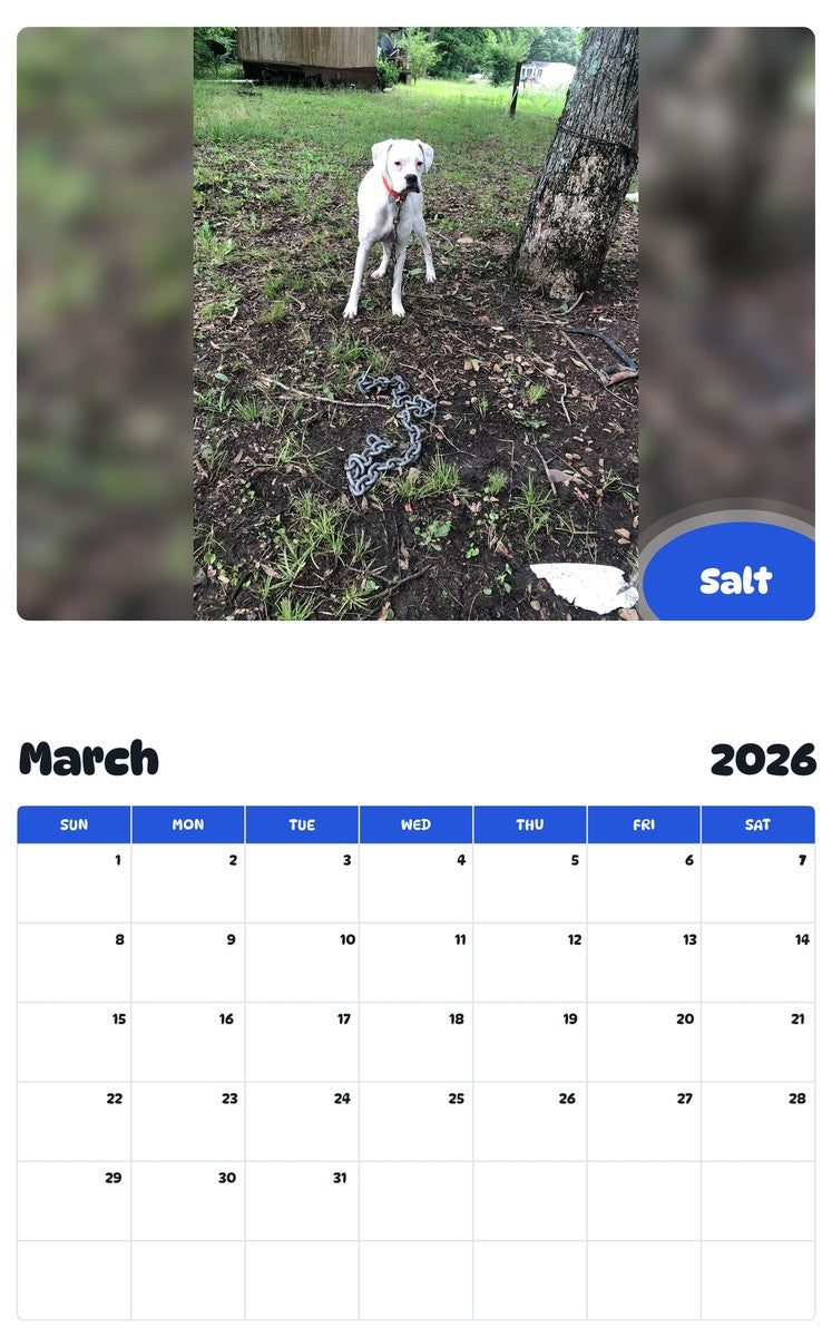 November 2025 - October 2026 Salt - Pawidols Pet Calendar