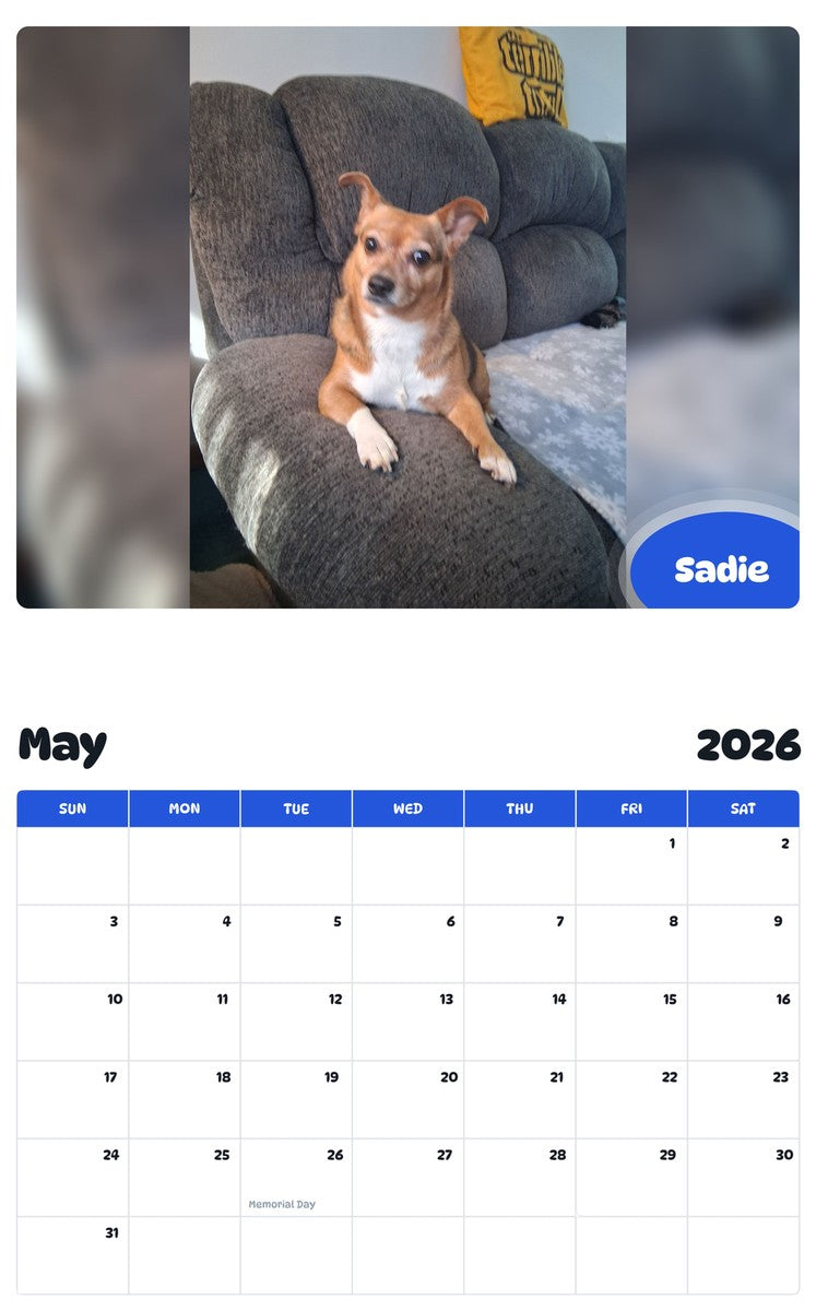 2026 - 2027 Sadie - Pawidols Pet Calendar