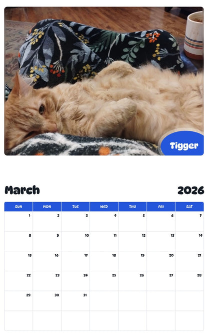 November 2025 - October 2026 Tigger - Pawidols Pet Calendar