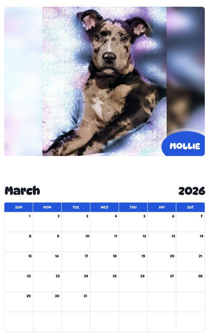 November 2025 - October 2026 MOLLIE - Pawidols Pet Calendar