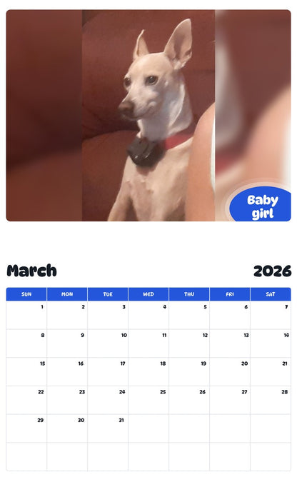 November 2025 - October 2026 Baby girl - Pawidols Pet Calendar