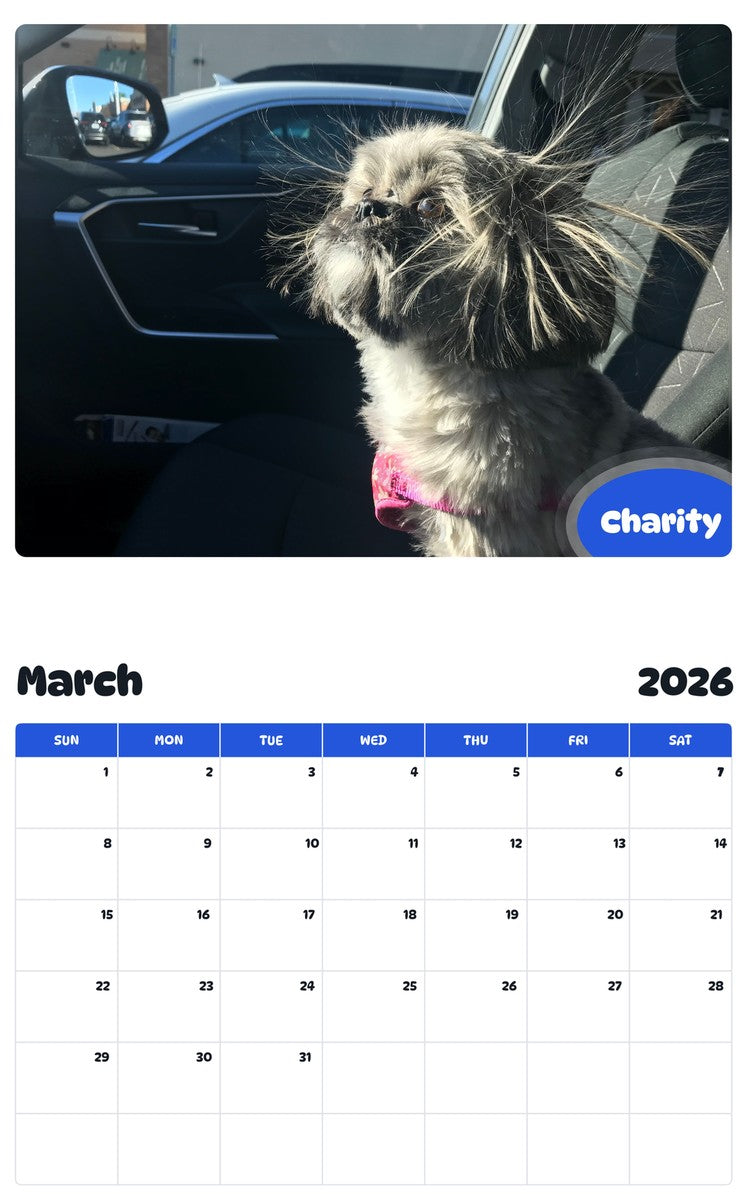 November 2025 - October 2026 Charity - Pawidols Pet Calendar
