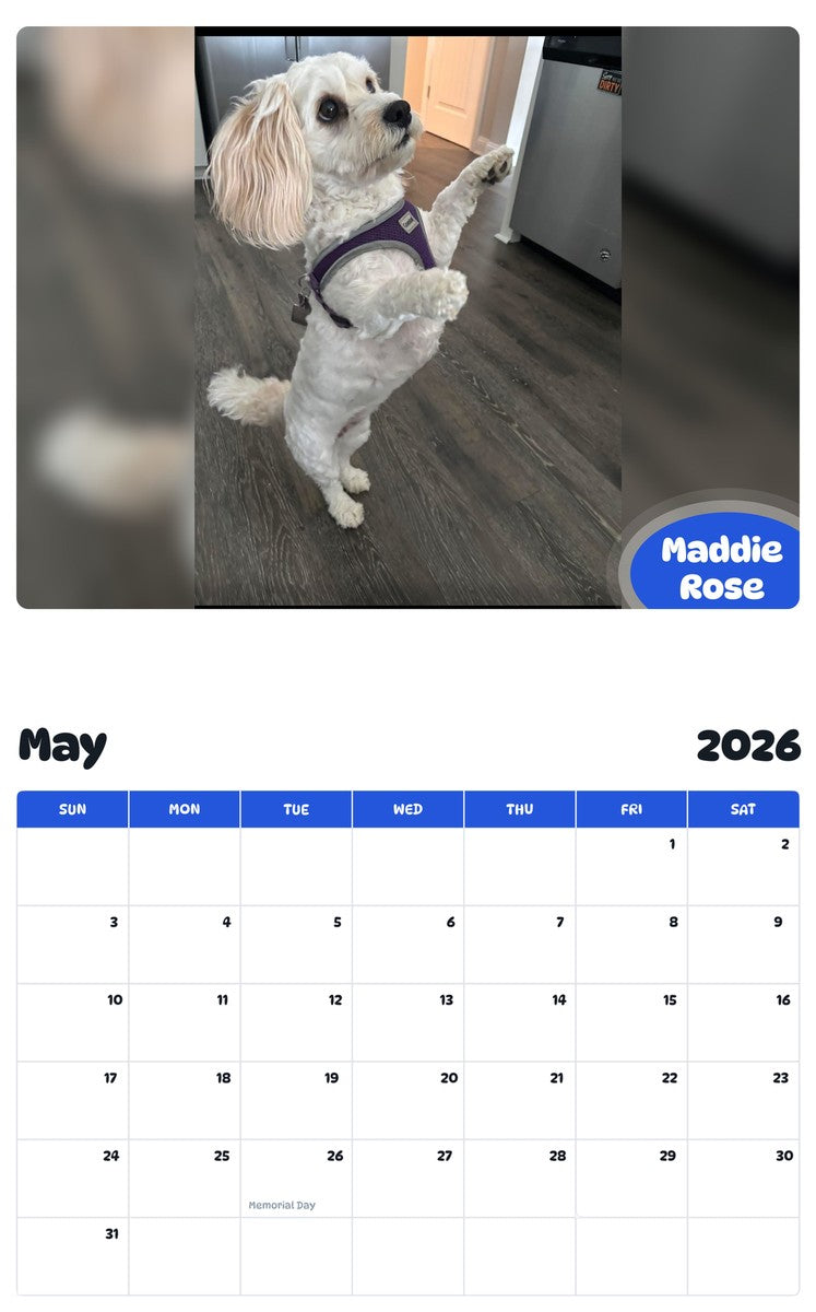 2026 - 2027 Maddie Rose - Pawidols Pet Calendar