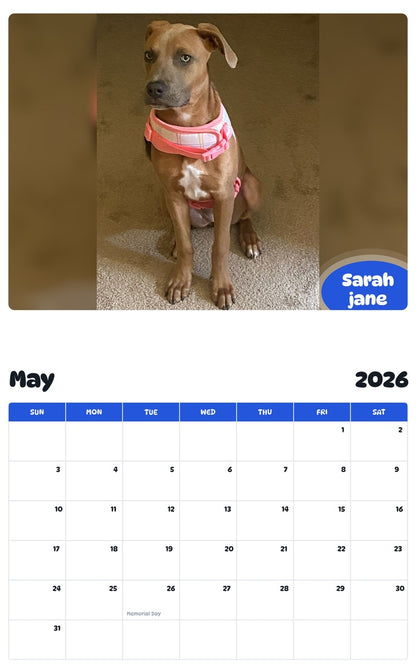 2026 - 2027 Sarah jane - Pawidols Pet Calendar