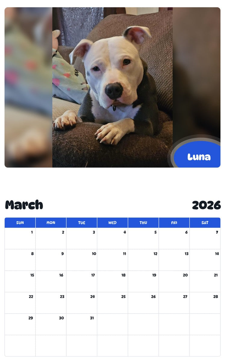 November 2025 - October 2026 Luna - Pawidols Pet Calendar