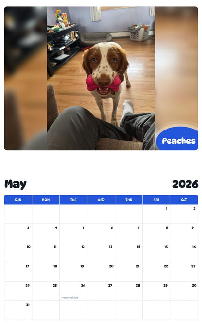 2026 - 2027 Peaches - Pawidols Pet Calendar