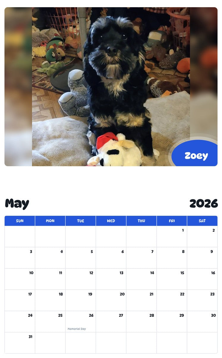 2026 - 2027 Zoey - Pawidols Pet Calendar