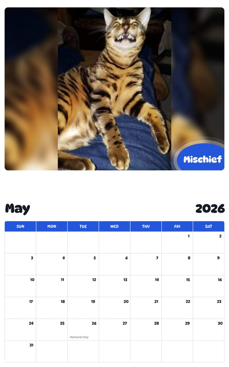 2026 - 2027 Mischief - Pawidols Pet Calendar