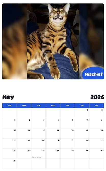 2026 - 2027 Mischief - Pawidols Pet Calendar