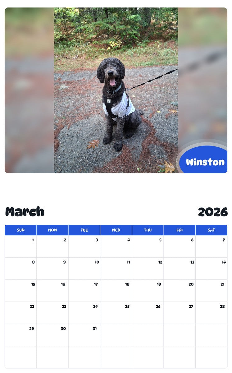 November 2025 - October 2026 Winston - Pawidols Pet Calendar