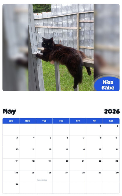 2026 - 2027 Miss Babe - Pawidols Pet Calendar