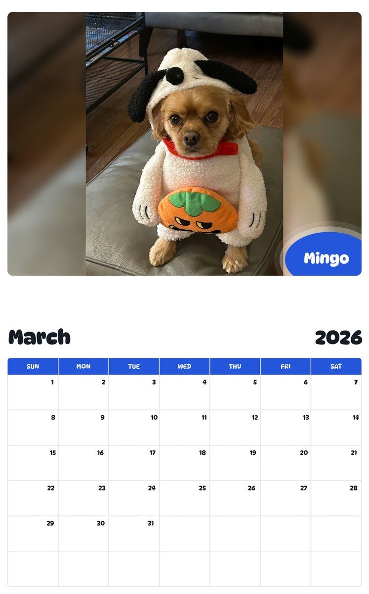 November 2025 - October 2026 Mingo - Pawidols Pet Calendar