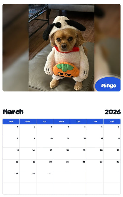 November 2025 - October 2026 Mingo - Pawidols Pet Calendar