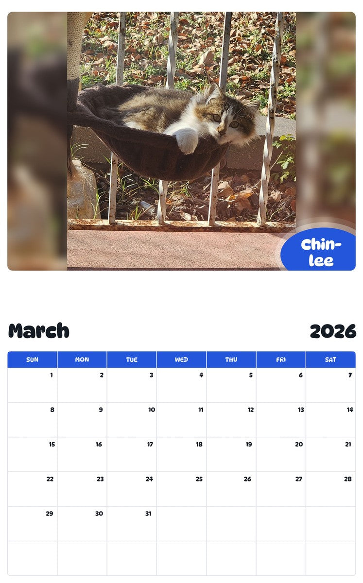 November 2025 - October 2026 Chin-lee - Pawidols Pet Calendar