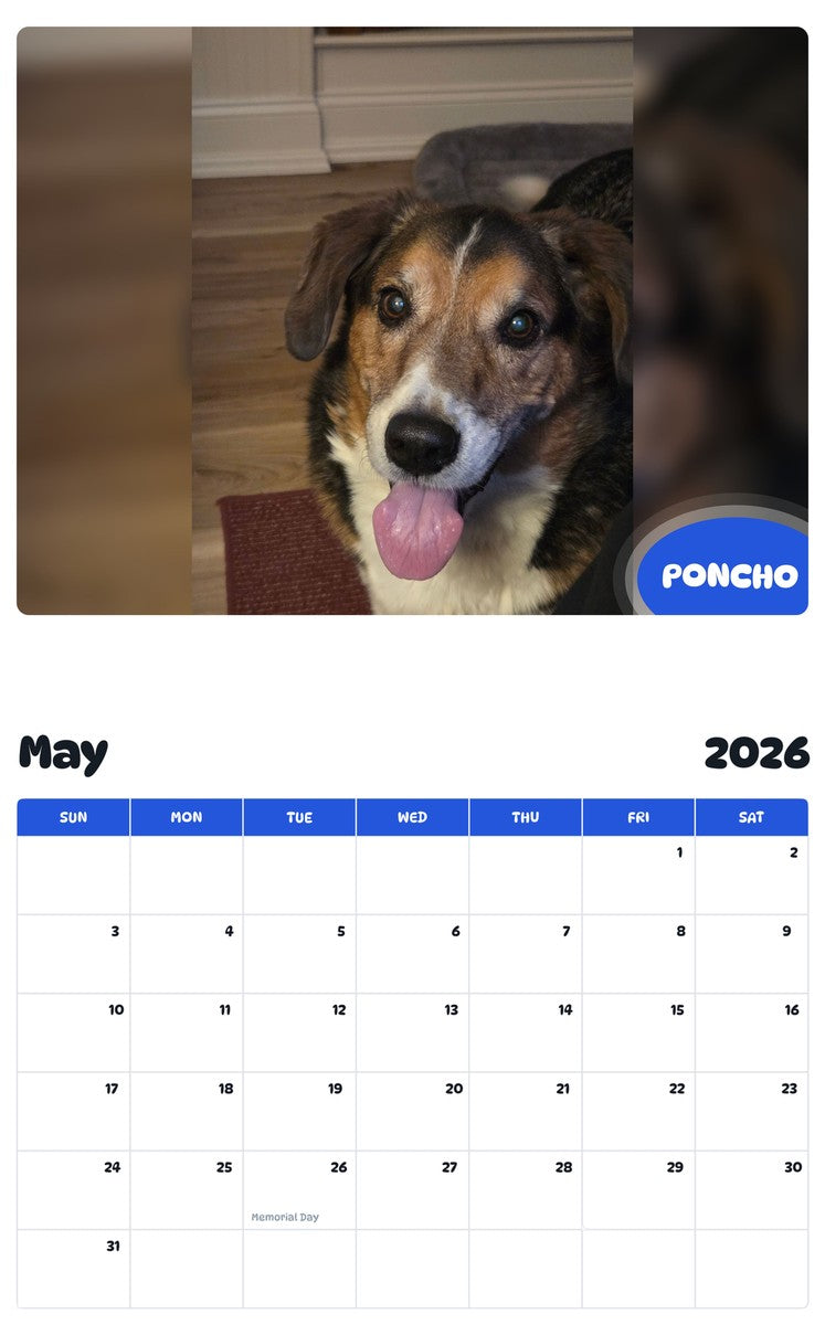 2026 - 2027 PONCHO - Pawidols Pet Calendar