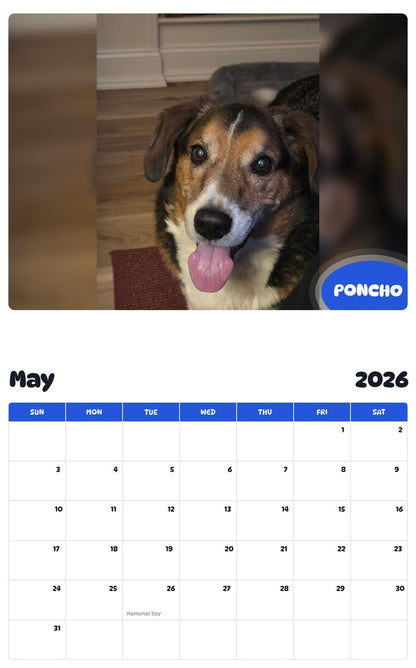 2026 - 2027 PONCHO - Pawidols Pet Calendar