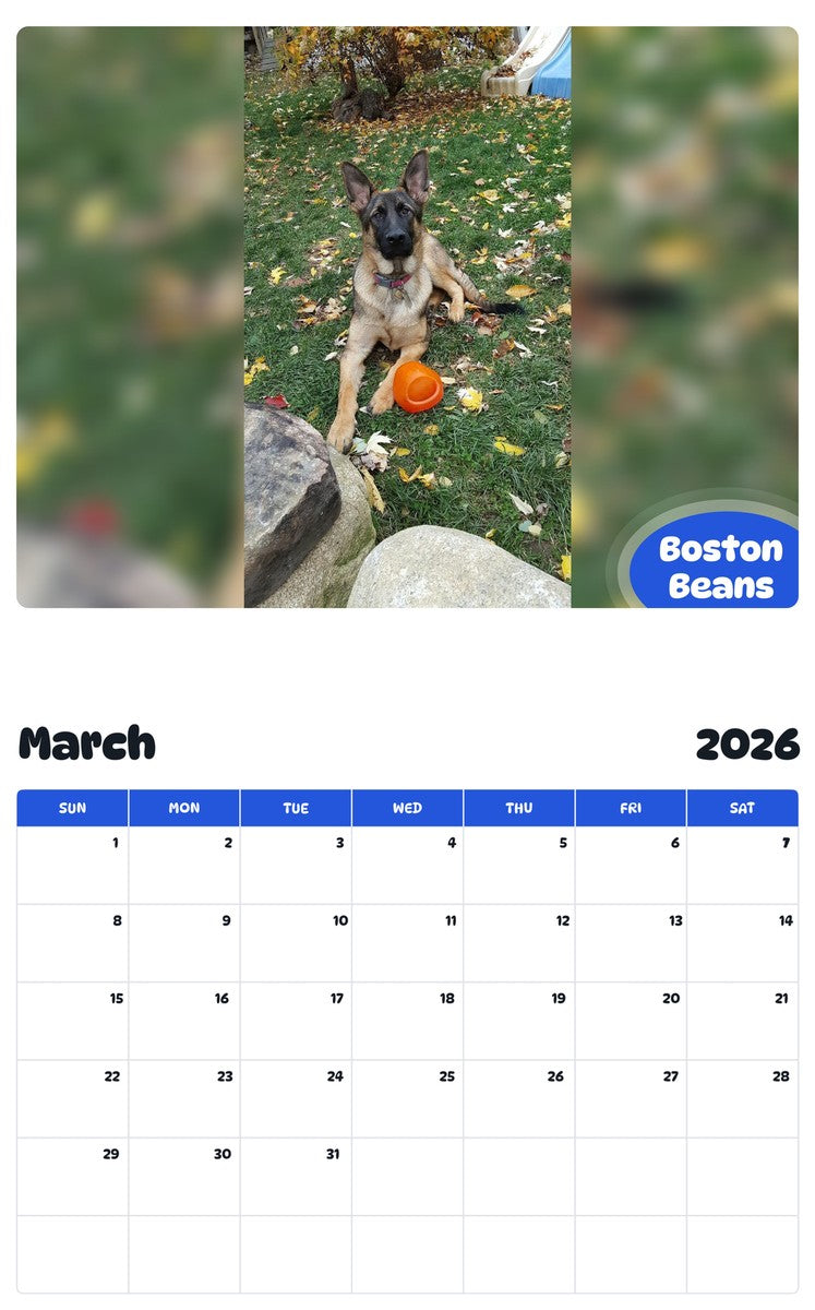 November 2025 - October 2026 Boston Beans - Pawidols Pet Calendar