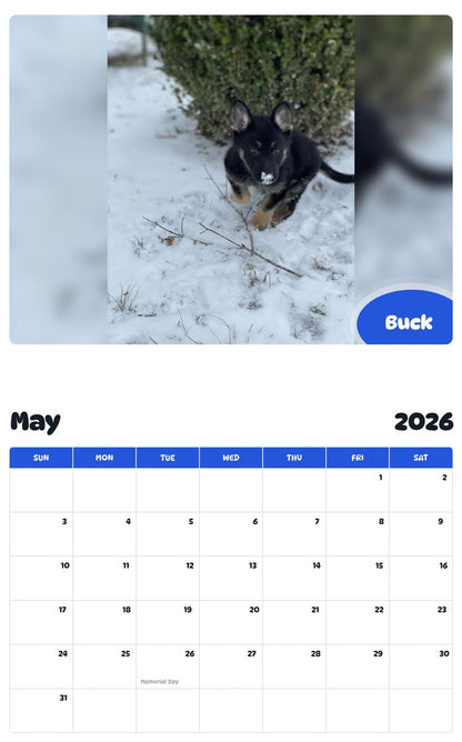 2026 - 2027 Buck - Pawidols Pet Calendar