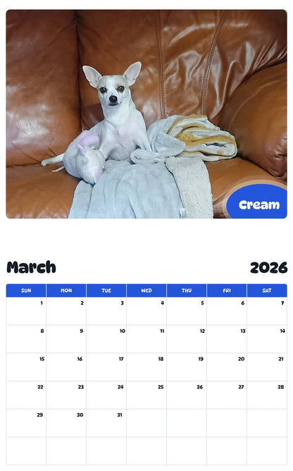 November 2025 - October 2026 Cream - Pawidols Pet Calendar