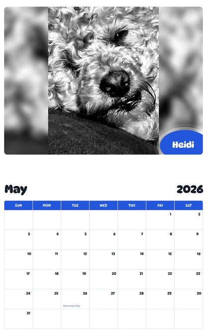 2026 - 2027 Heidi - Pawidols Pet Calendar