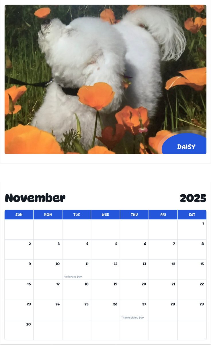 July 2025 - June 2026 Daisy - Pawidols Pet Calendar