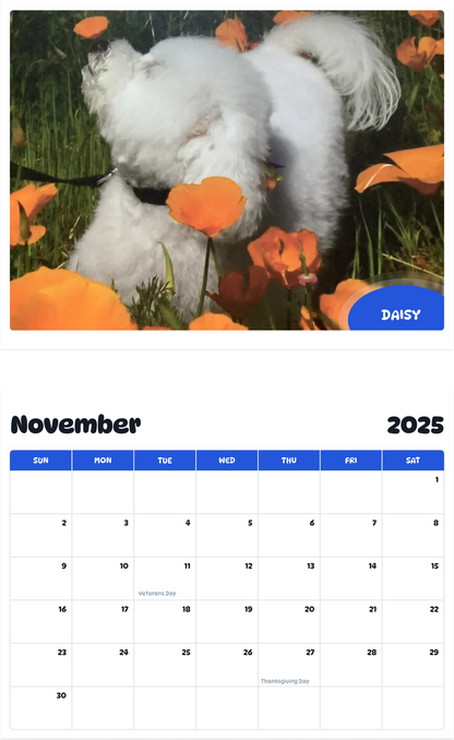 July 2025 - June 2026 Daisy - Pawidols Pet Calendar