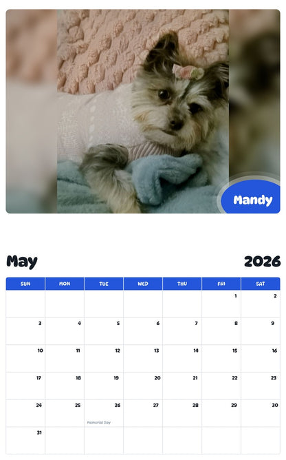 2026 - 2027 Mandy - Pawidols Pet Calendar
