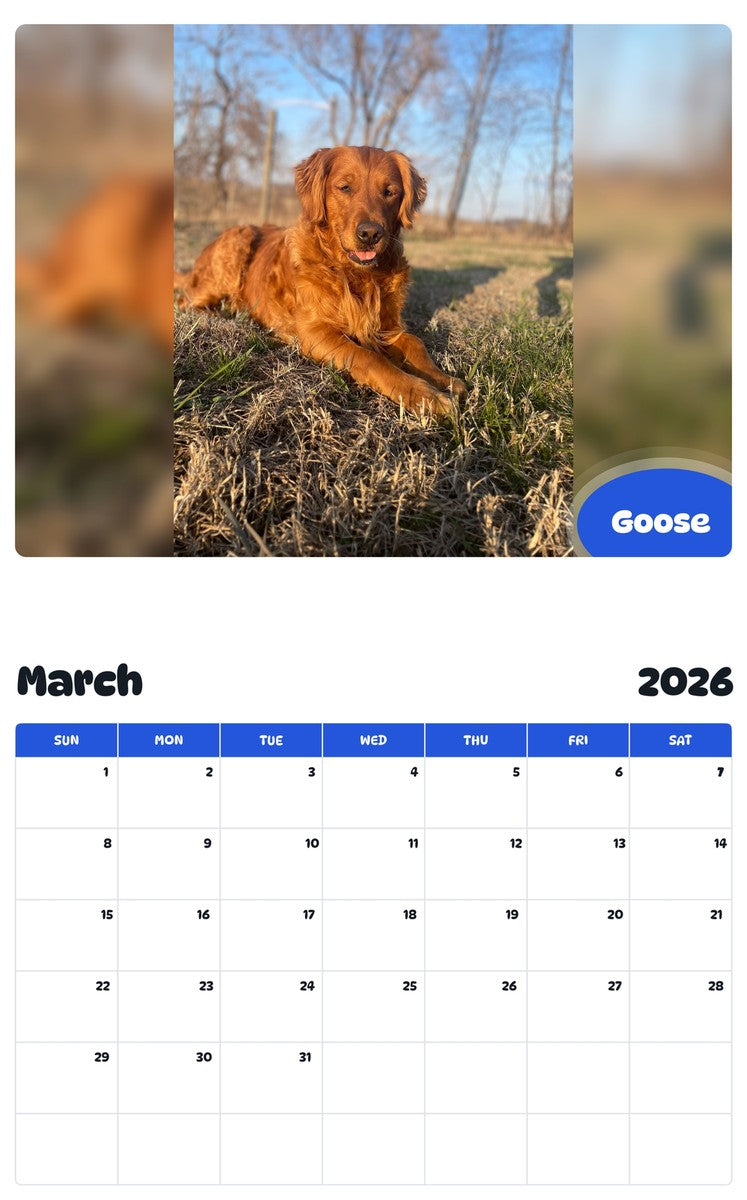 November 2025 - October 2026 Goose - Pawidols Pet Calendar