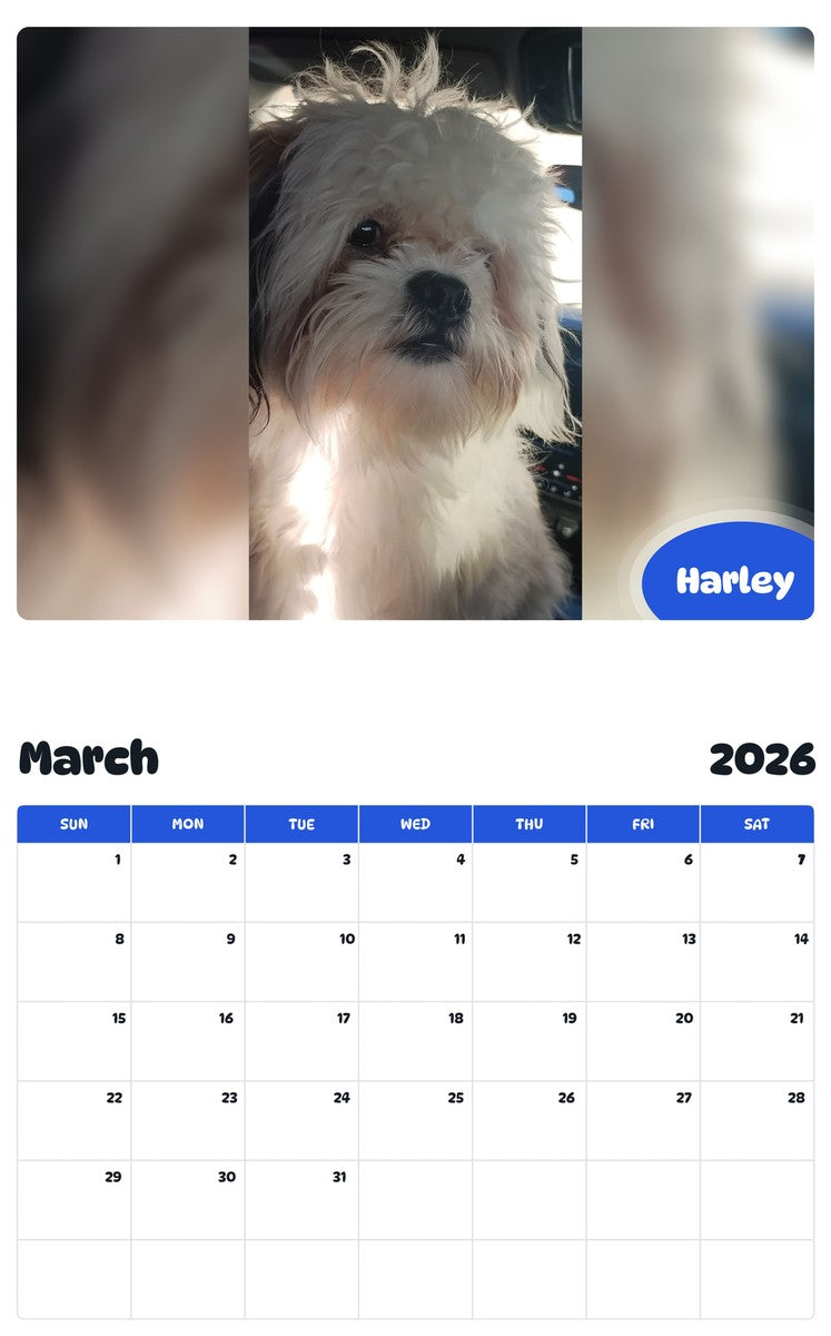 November 2025 - October 2026 Harley - Pawidols Pet Calendar