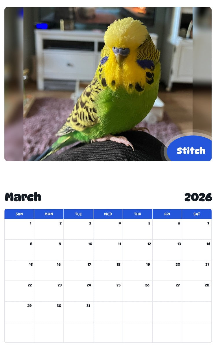 November 2025 - October 2026 Stitch - Pawidols Pet Calendar