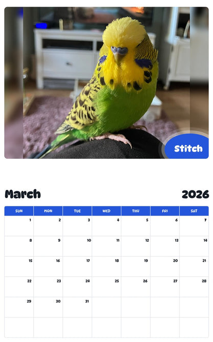November 2025 - October 2026 Stitch - Pawidols Pet Calendar