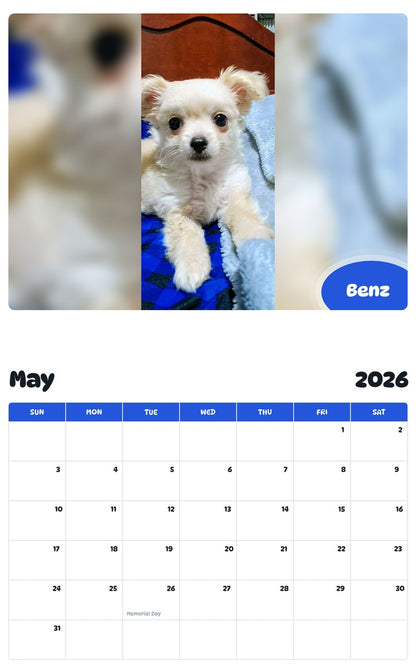 2026 - 2027 Benz - Pawidols Pet Calendar