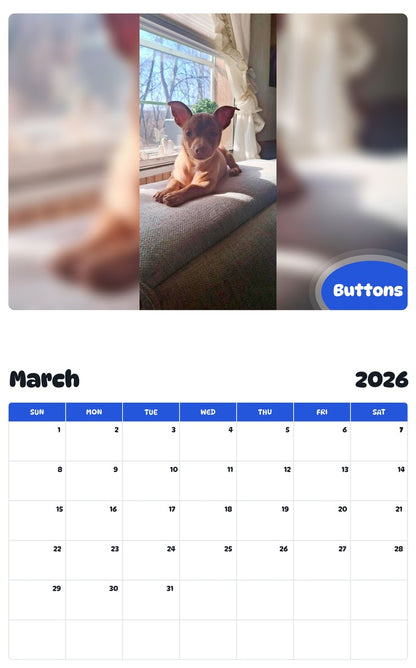 November 2025 - October 2026 Buttons - Pawidols Pet Calendar