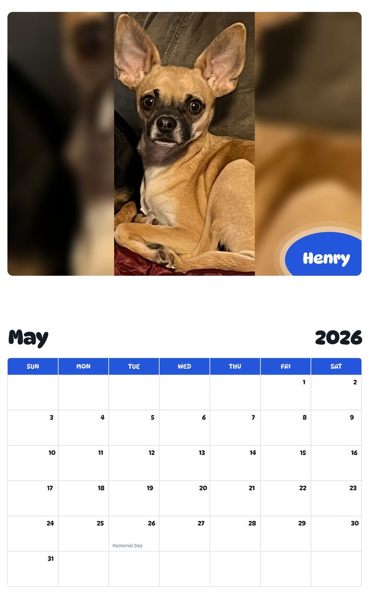 2026 - 2027 Henry - Pawidols Pet Calendar